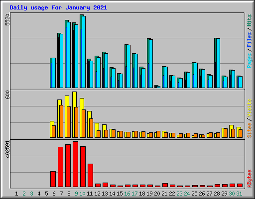 Daily usage for January 2021