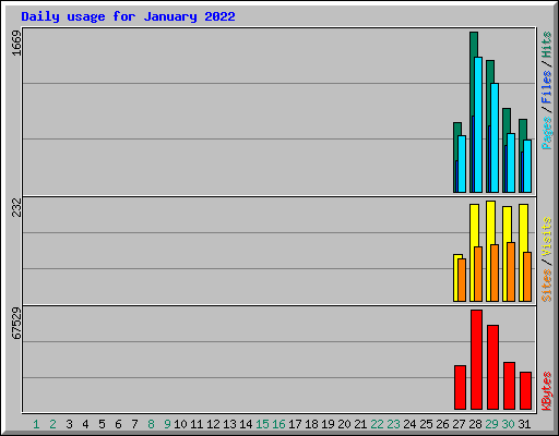 Daily usage for January 2022