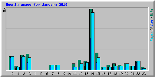 Hourly usage for January 2019