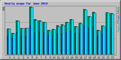 Hourly usage for June 2019