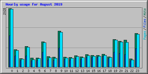 Hourly usage for August 2019