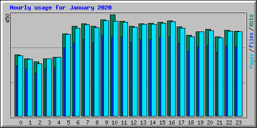 Hourly usage for January 2020