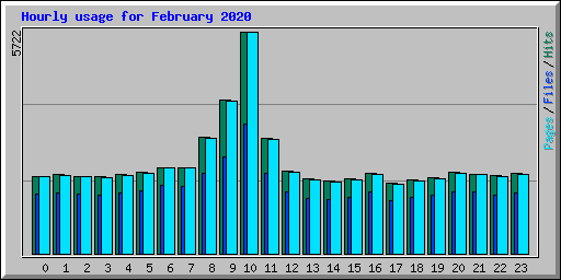 Hourly usage for February 2020