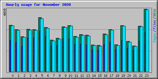 Hourly usage for November 2020