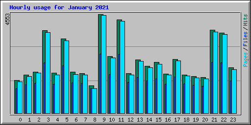 Hourly usage for January 2021