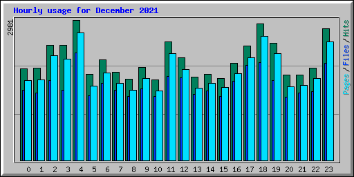 Hourly usage for December 2021