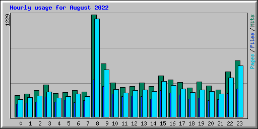 Hourly usage for August 2022