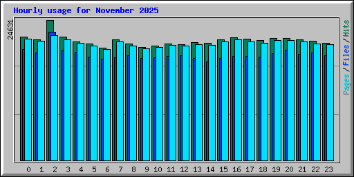 Hourly usage for November 2025